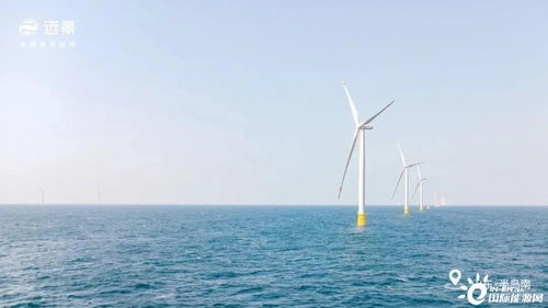 山東首次實現海上風電航空應用發電