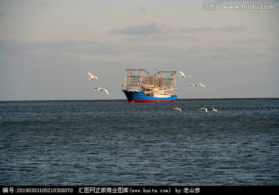 海上生輝 航空 當海洋與天空的智慧相遇