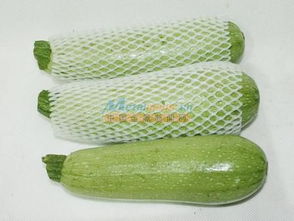 探訪優(yōu)品供應(yīng)商 皇城塑料廠的蔬菜水果網(wǎng)套專業(yè)之道